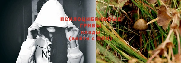 винт Бугульма